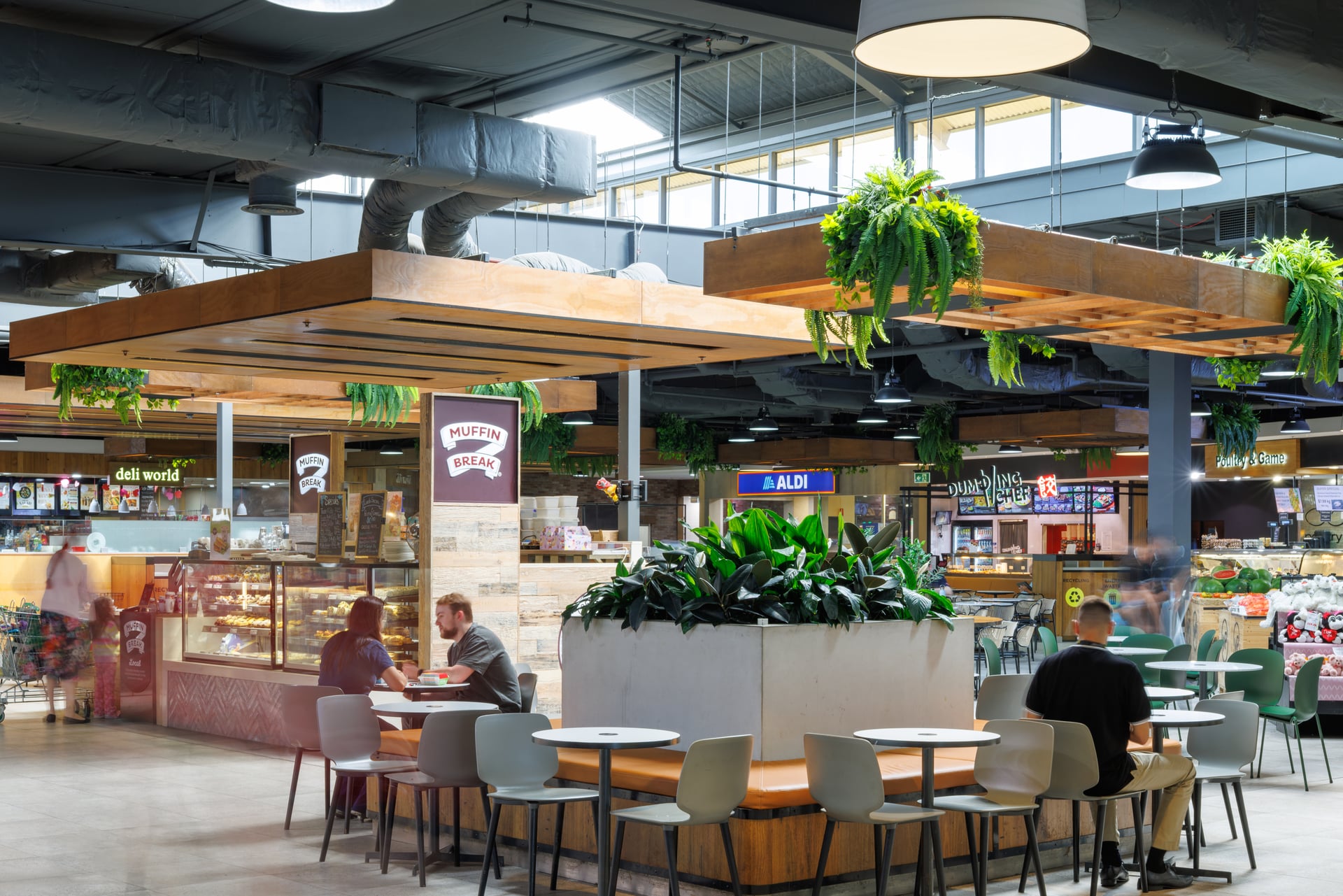 IP00202026020300031514